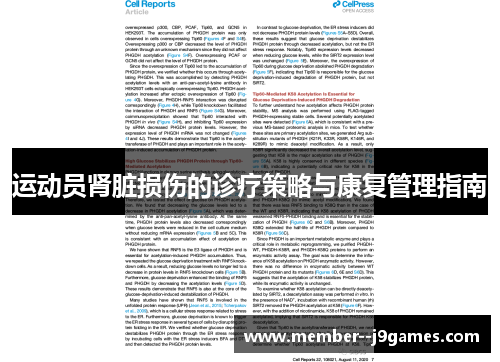 运动员肾脏损伤的诊疗策略与康复管理指南 运动员肾脏损伤的诊疗策略与康复管理指南